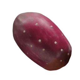 Prickly Pear